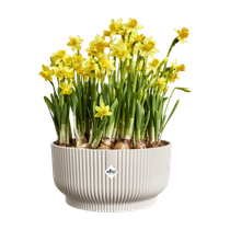 vibes fold bowl 25cm linen white